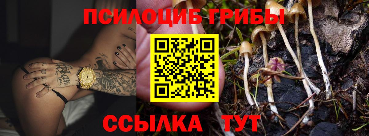 Галлюциногенные грибы Psilocybine cubensis Туапсе
