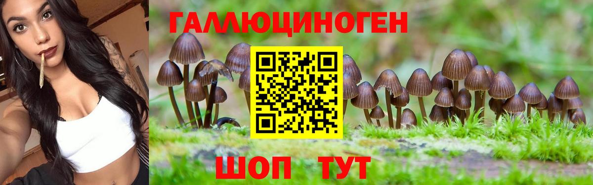 цена   Вход с VPN  Туапсе  Галлюциногенные грибы прущие грибы 